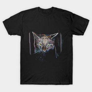 light cat T-Shirt